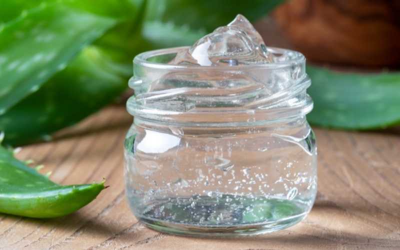 remedes-coups-de-soleil-aloe-vera