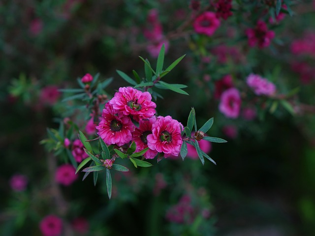1cb5d0dd a0ad 45e4 ba5a 38ee7d0862a0